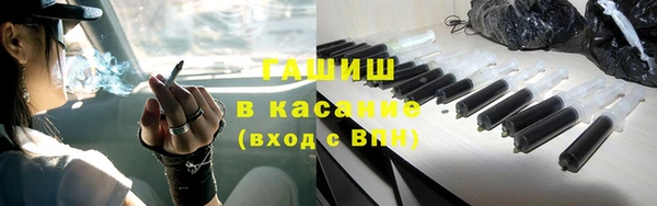 хмурый Осинники