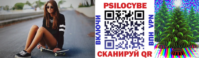 Купить где Сертолово Псилоцибиновые грибы Cubensis